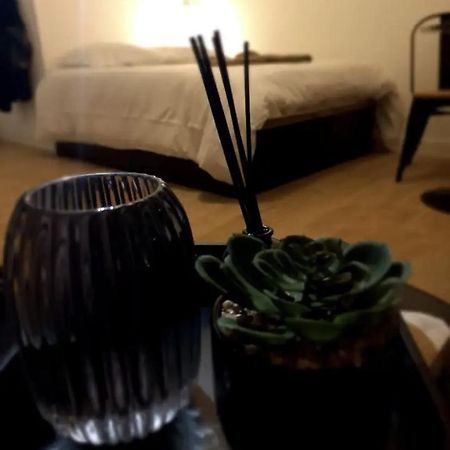 Appartement Le 29 Studieux, wifi, à 3min de la gare sncf à Agen Extérieur photo