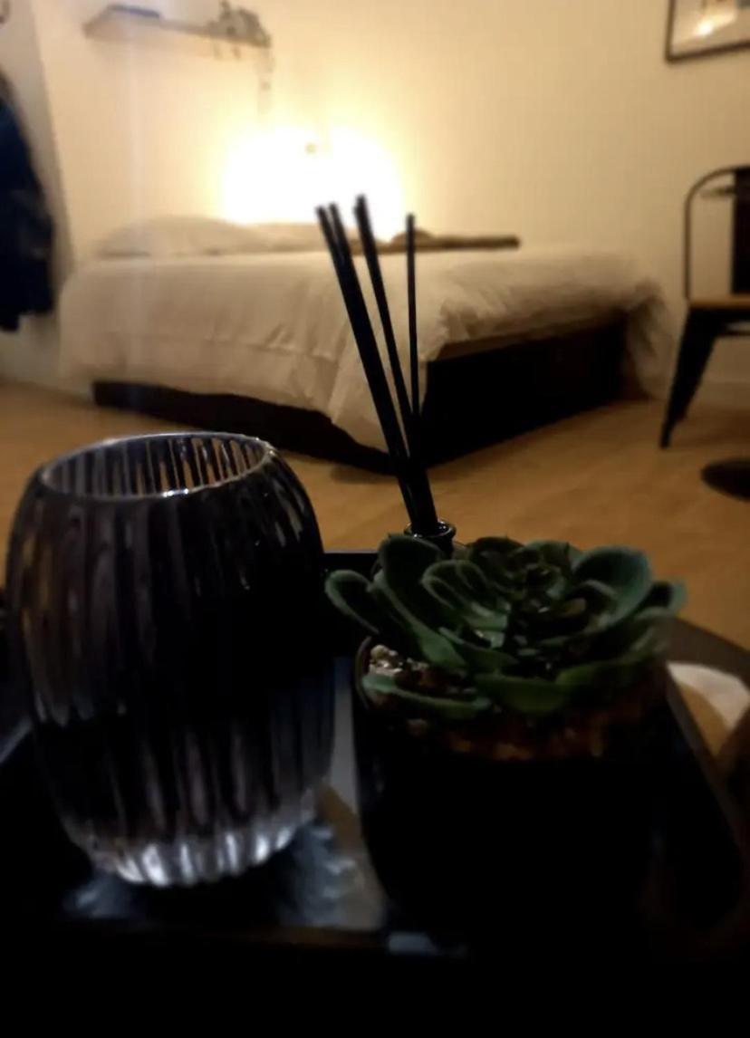 Appartement Le 29 Studieux, wifi, à 3min de la gare sncf à Agen Extérieur photo